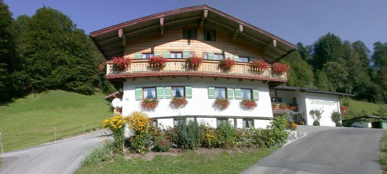Alpenferienwohnungen Wiesenlehen Apartment *